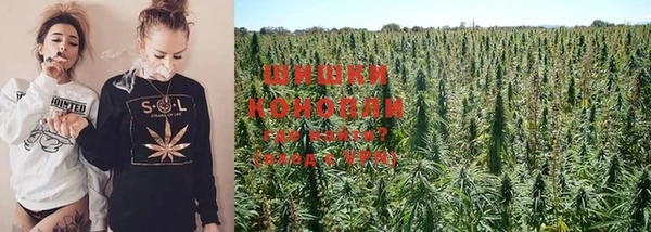 COCAINE Медвежьегорск