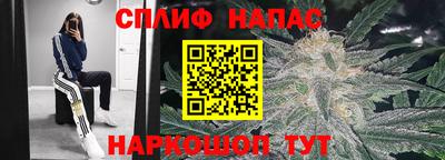 молекула духа Волжский