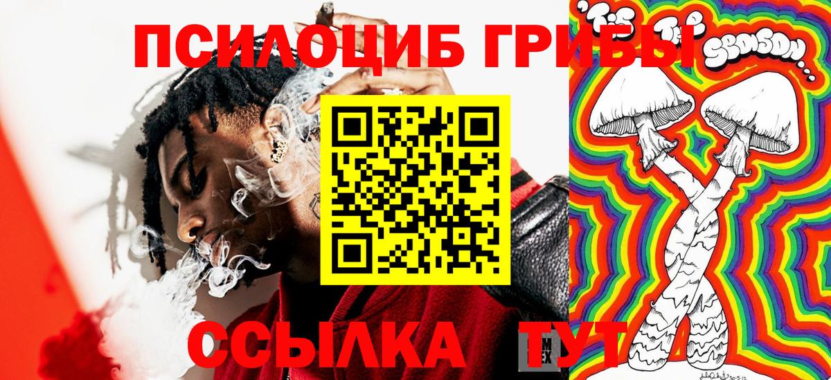 Галлюциногенные грибы мицелий  Тобольск 