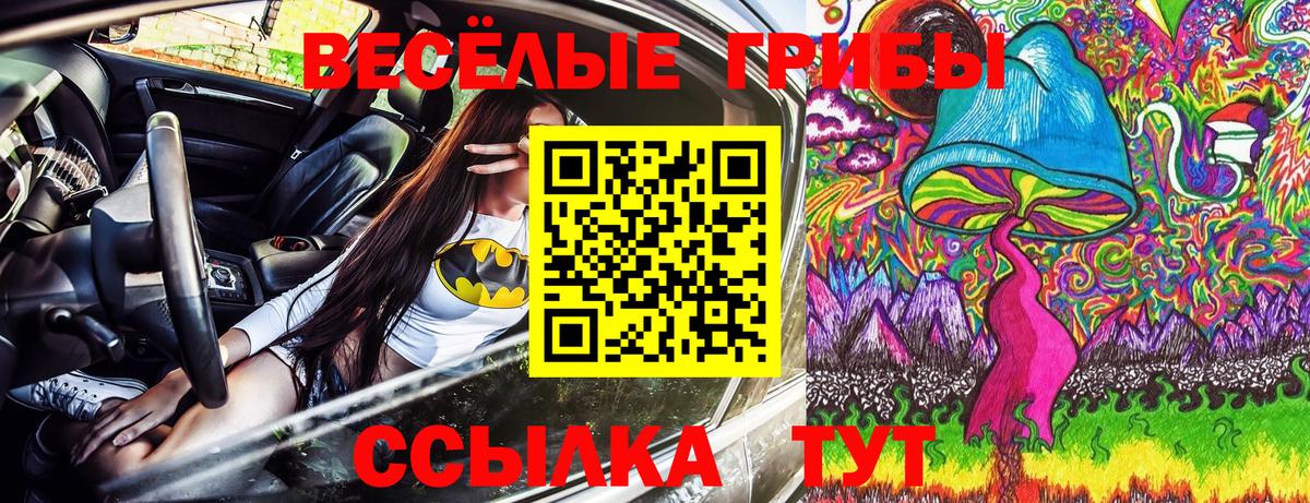 Тобольск  Псилоцибиновые грибы GOLDEN TEACHER  Вход с VPN 